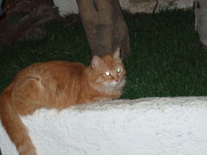 Anadalusien 2009 - 1012 